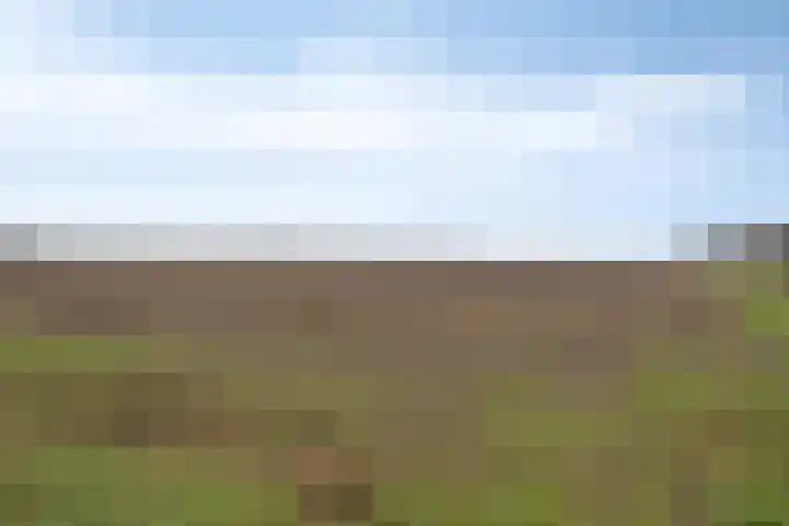 Postel 38 Someren thumbnail 4