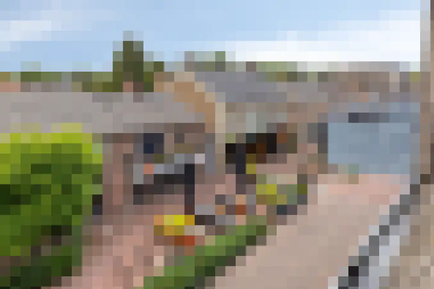 Postel 43 Someren thumbnail 13