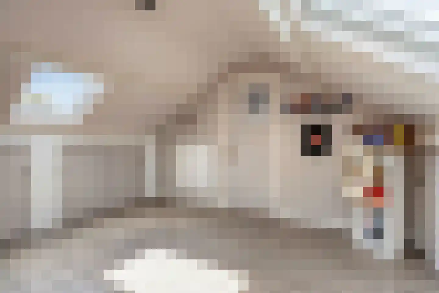 Postel 9 Mierlo thumbnail 4