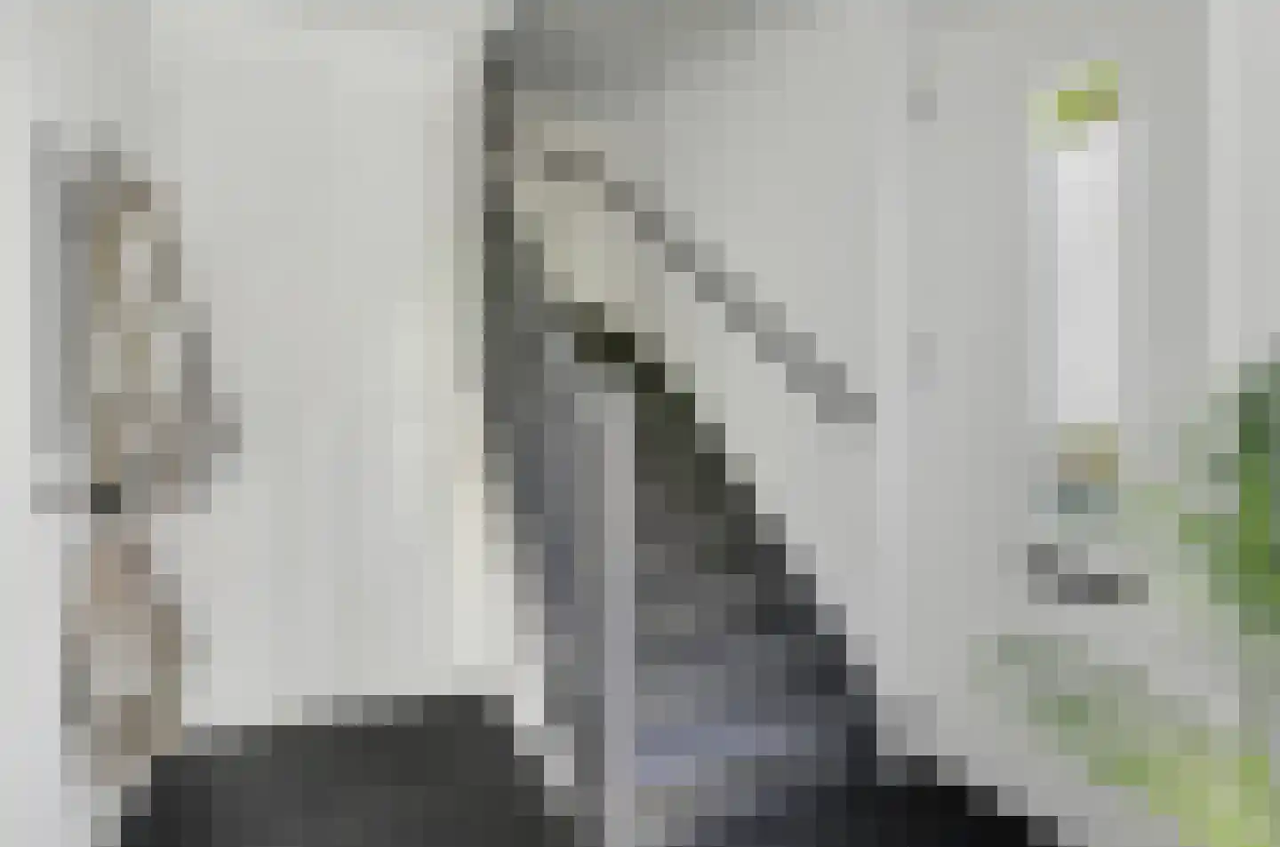 Postelein 12 Diessen thumbnail 12