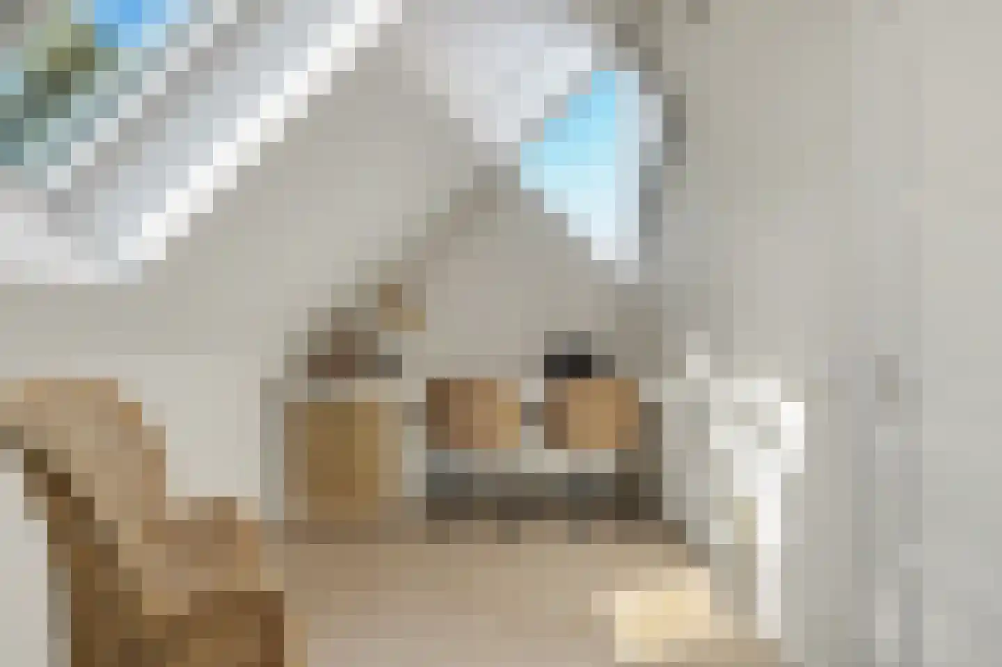 Postelein 12 Diessen thumbnail 23