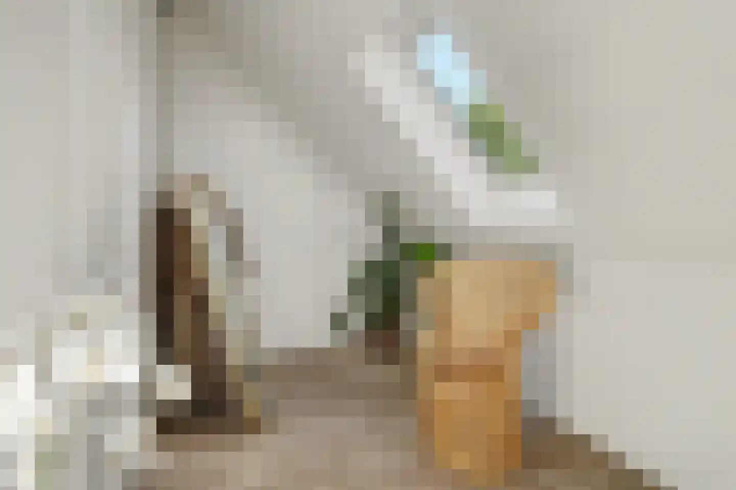 Postelein 12 Diessen thumbnail 24