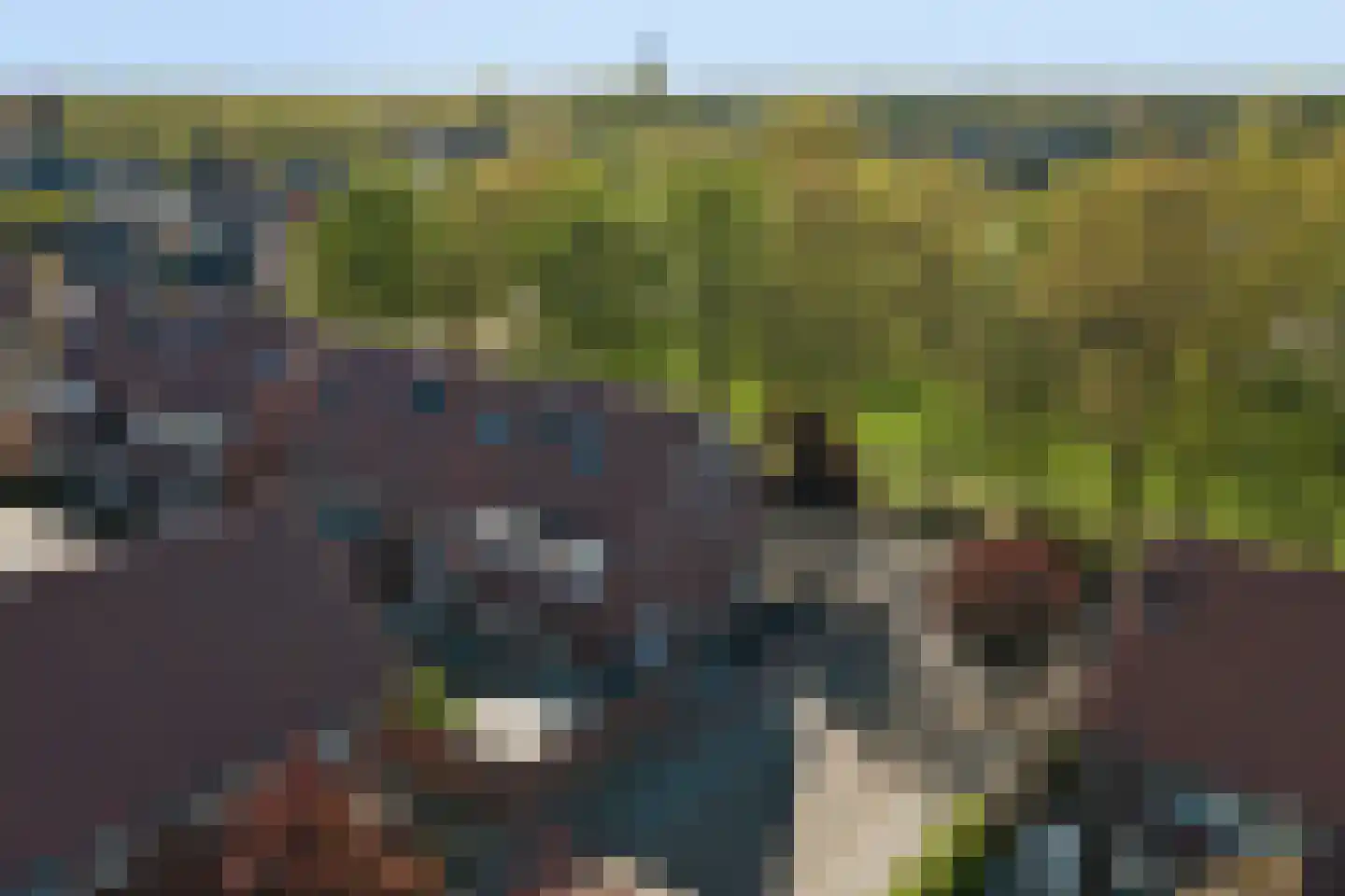 Postelein 12 Diessen thumbnail 30
