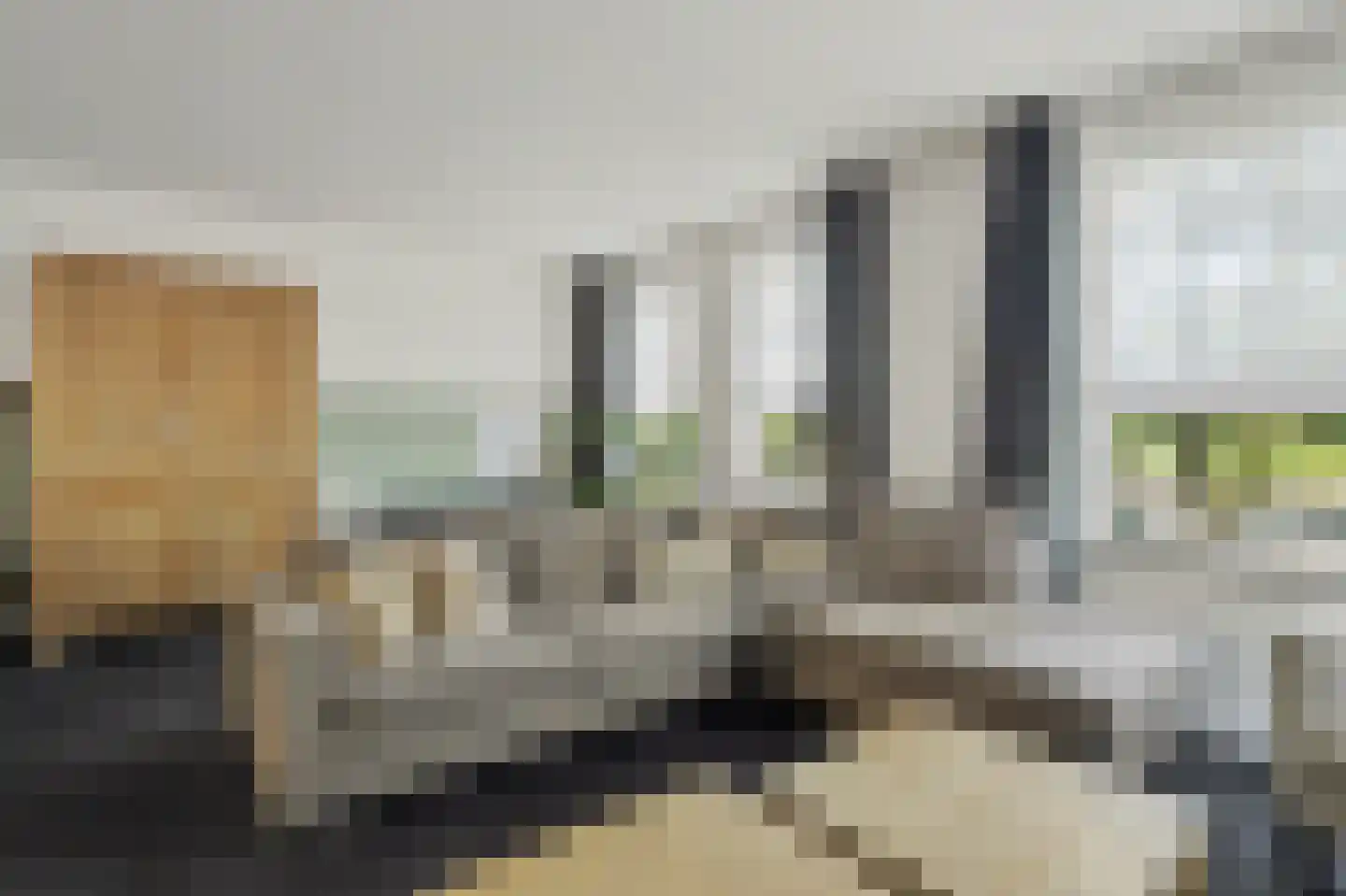 Postelein 12 Diessen thumbnail 4