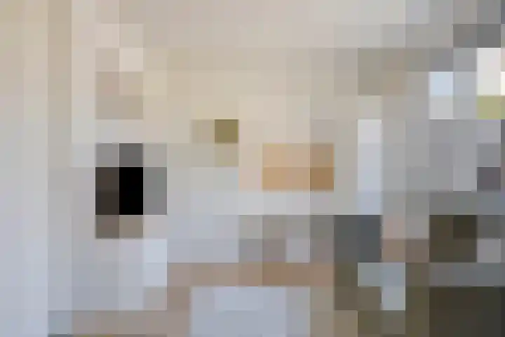 Postelein 20 Diessen thumbnail 10