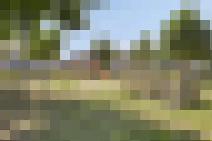 Postelein 20 Diessen thumbnail 32