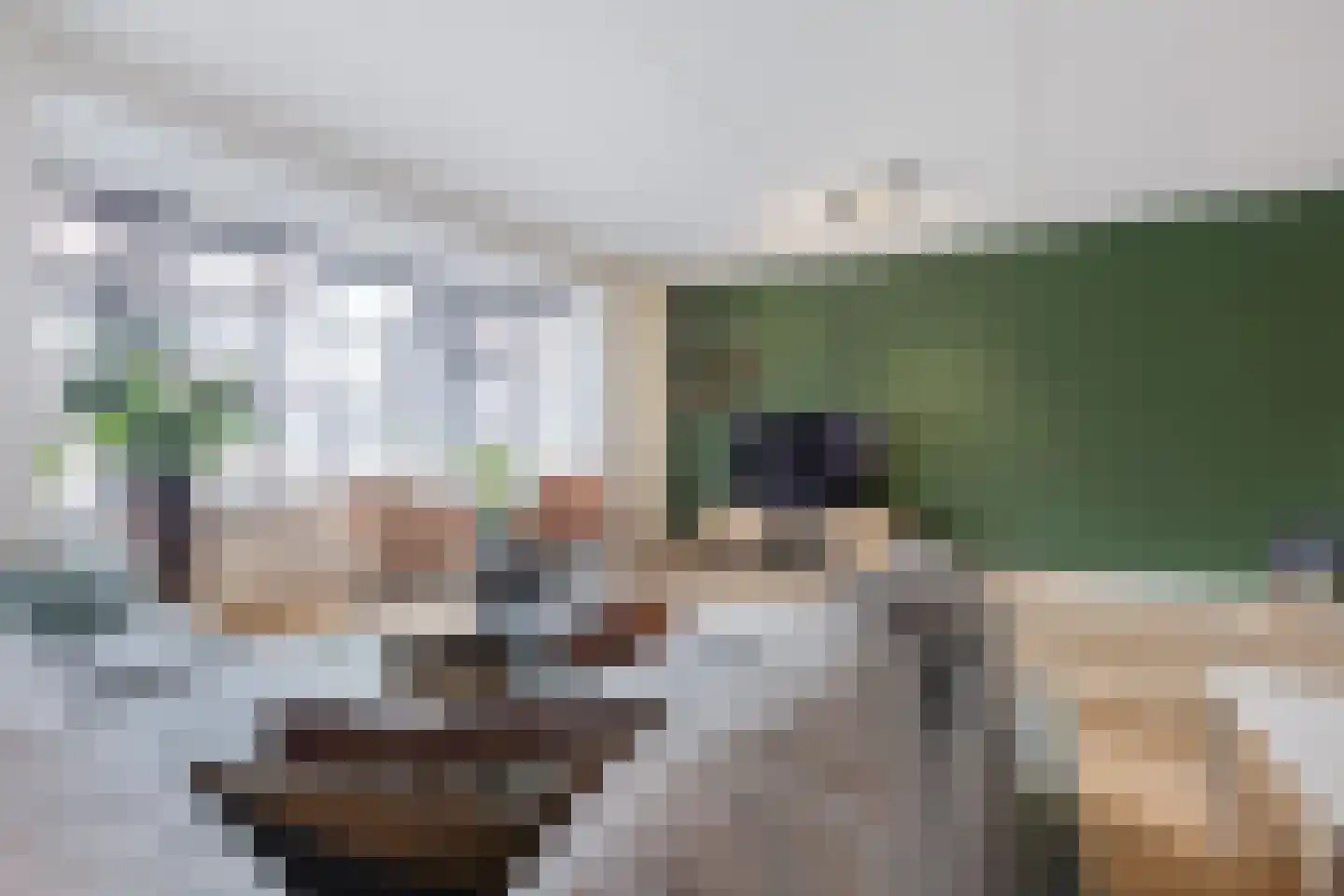 Posteleinpad 19 Dorst thumbnail 13
