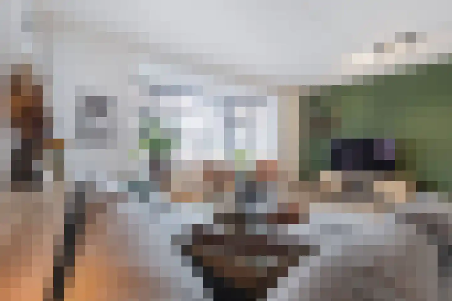 Posteleinpad 19 Dorst thumbnail 14