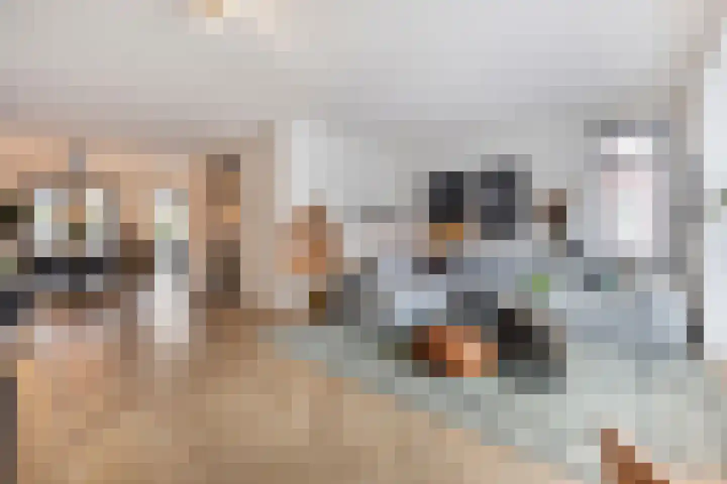 Posteleinpad 19 Dorst thumbnail 17
