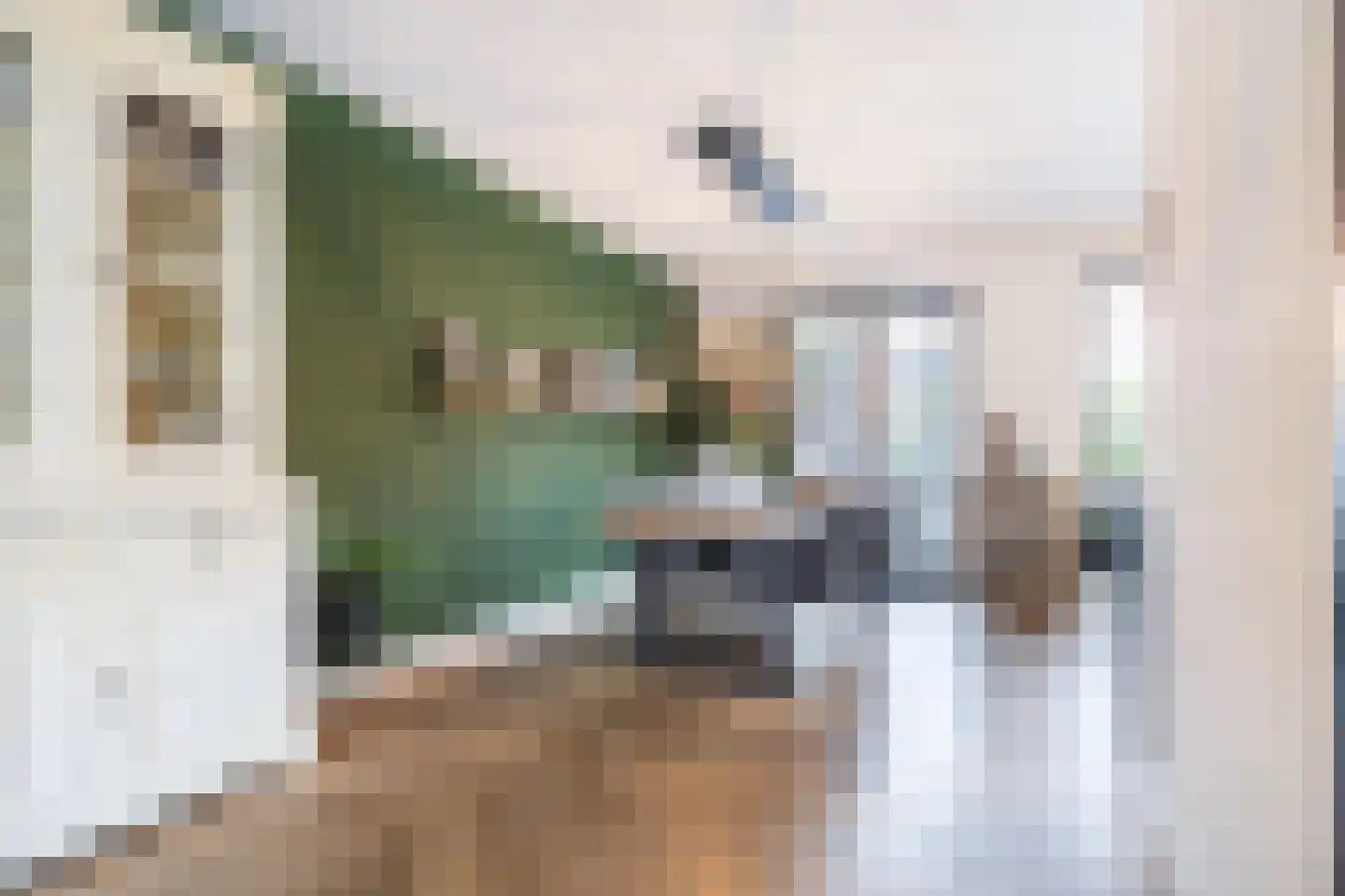 Posteleinpad 19 Dorst thumbnail 19
