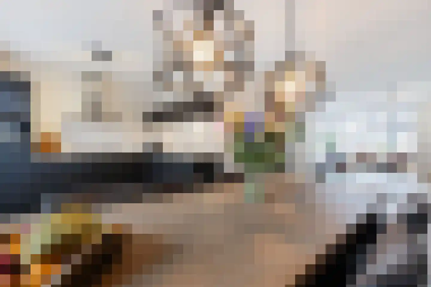 Posteleinpad 19 Dorst thumbnail 22