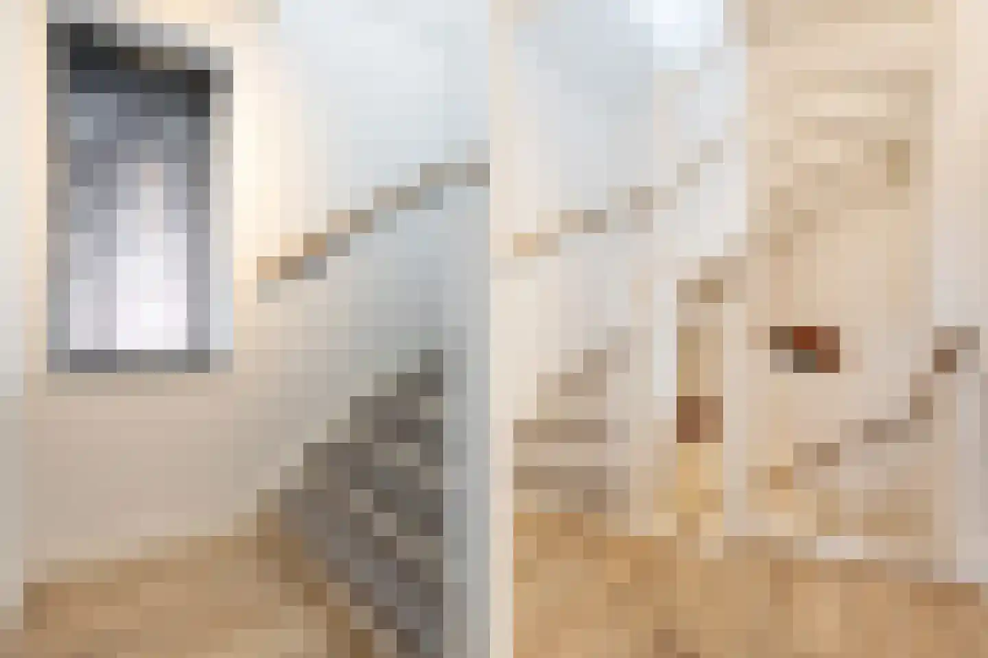 Posteleinpad 19 Dorst thumbnail 29