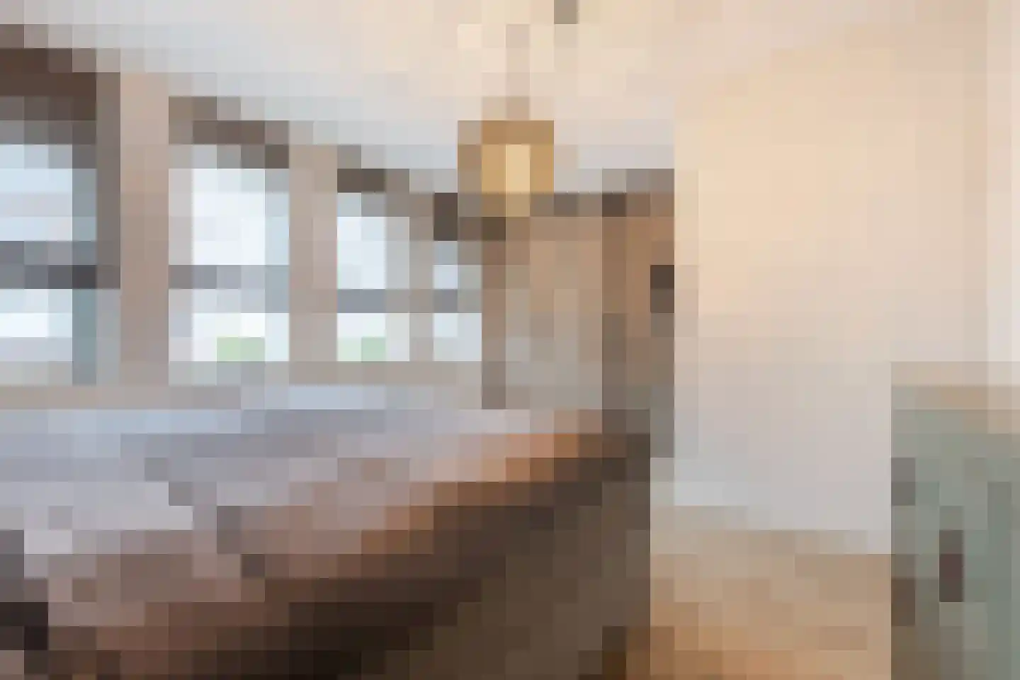 Posteleinpad 19 Dorst thumbnail 32