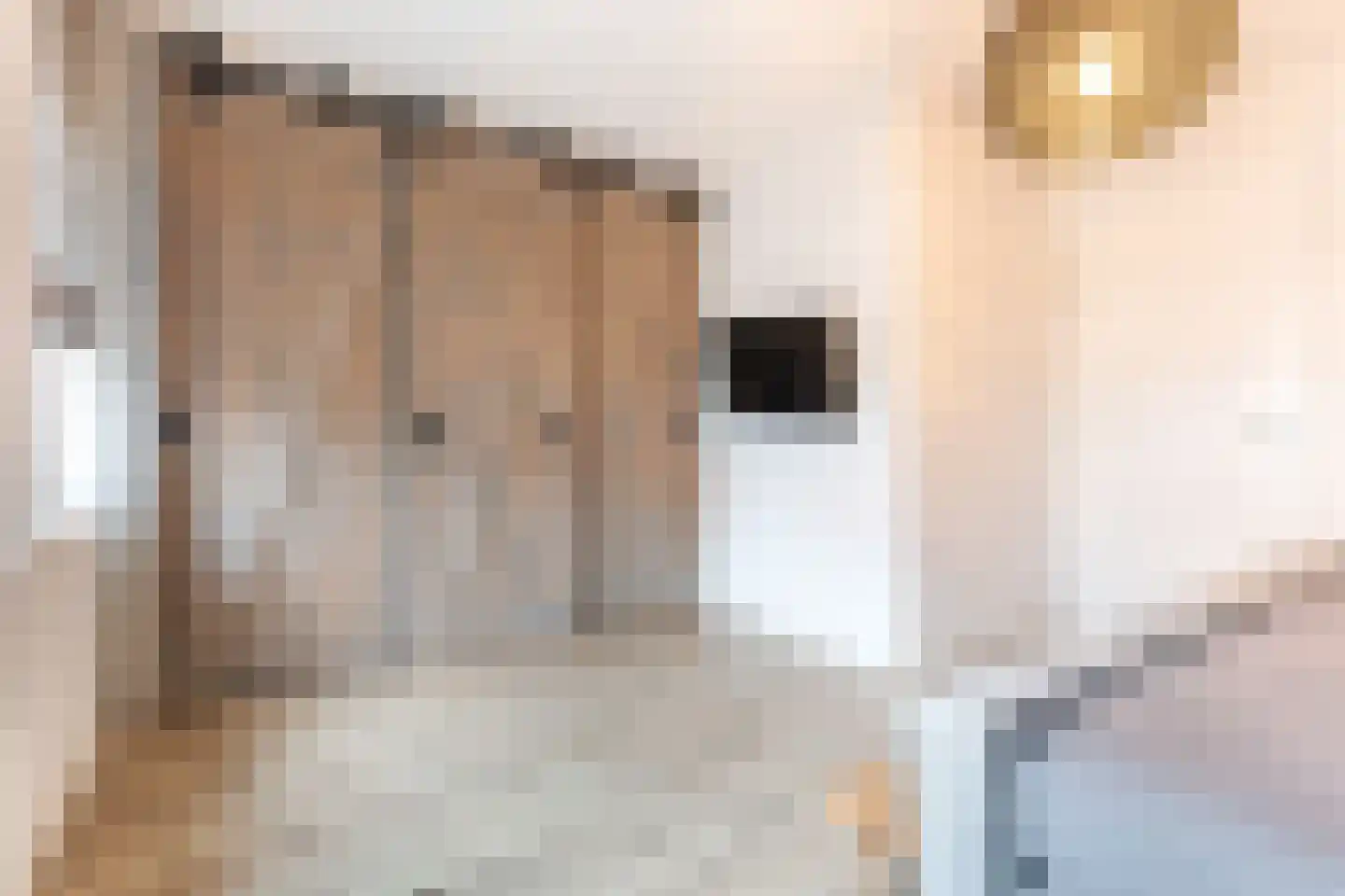 Posteleinpad 19 Dorst thumbnail 35