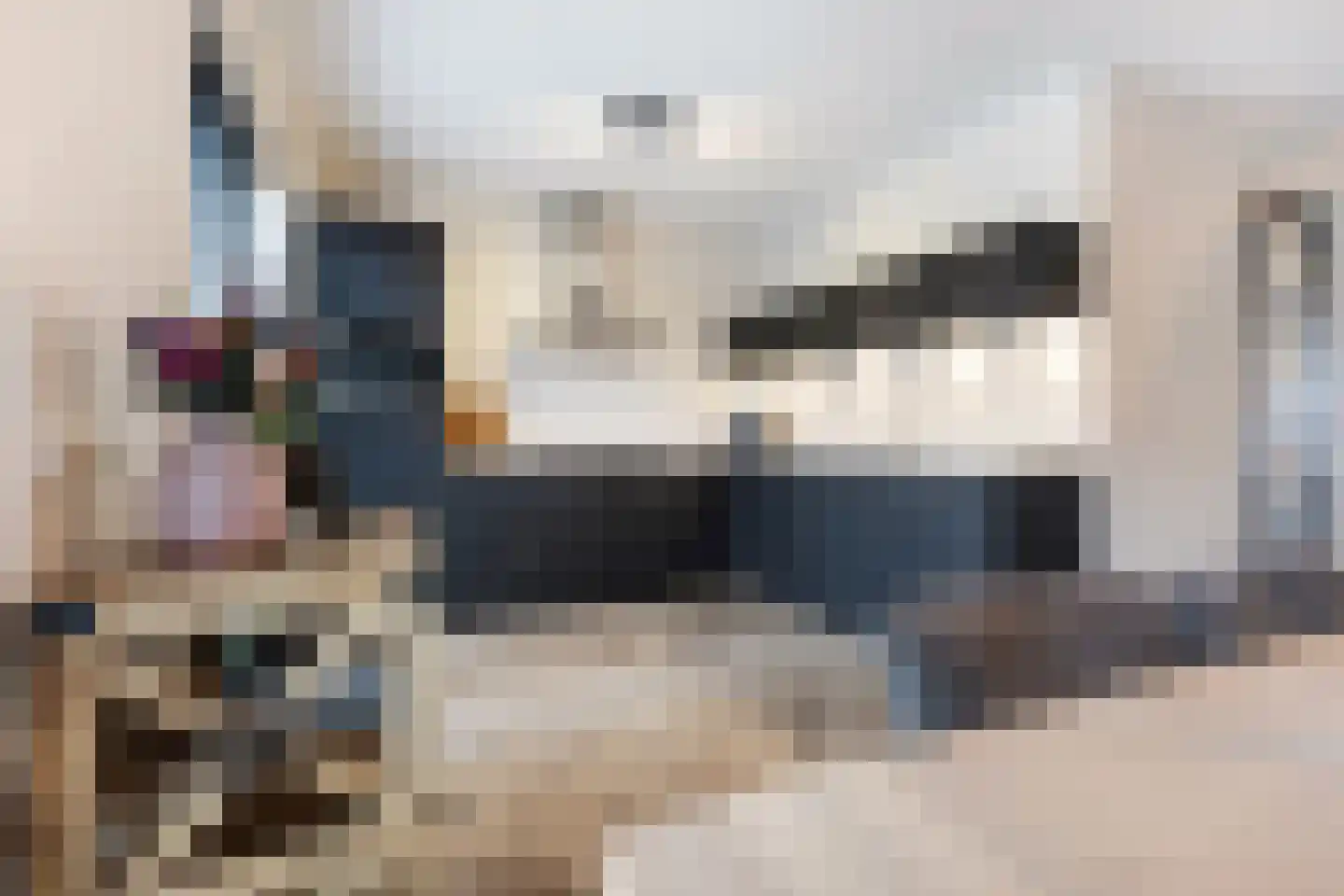 Posteleinpad 19 Dorst thumbnail 4