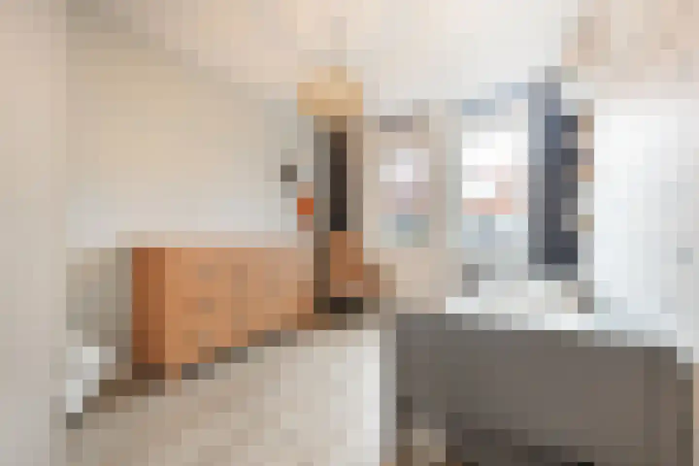 Posteleinpad 19 Dorst thumbnail 41