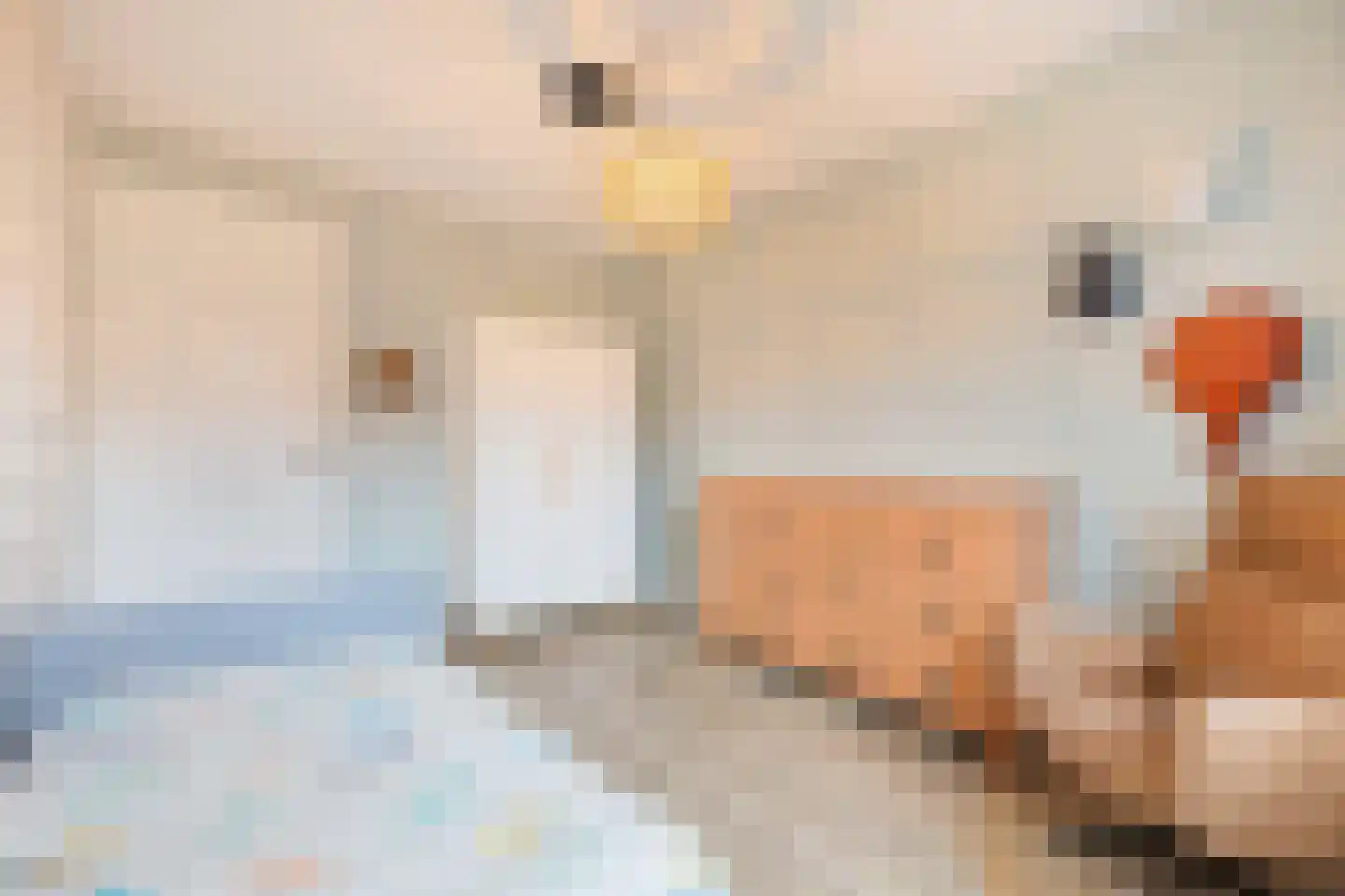 Posteleinpad 19 Dorst thumbnail 44