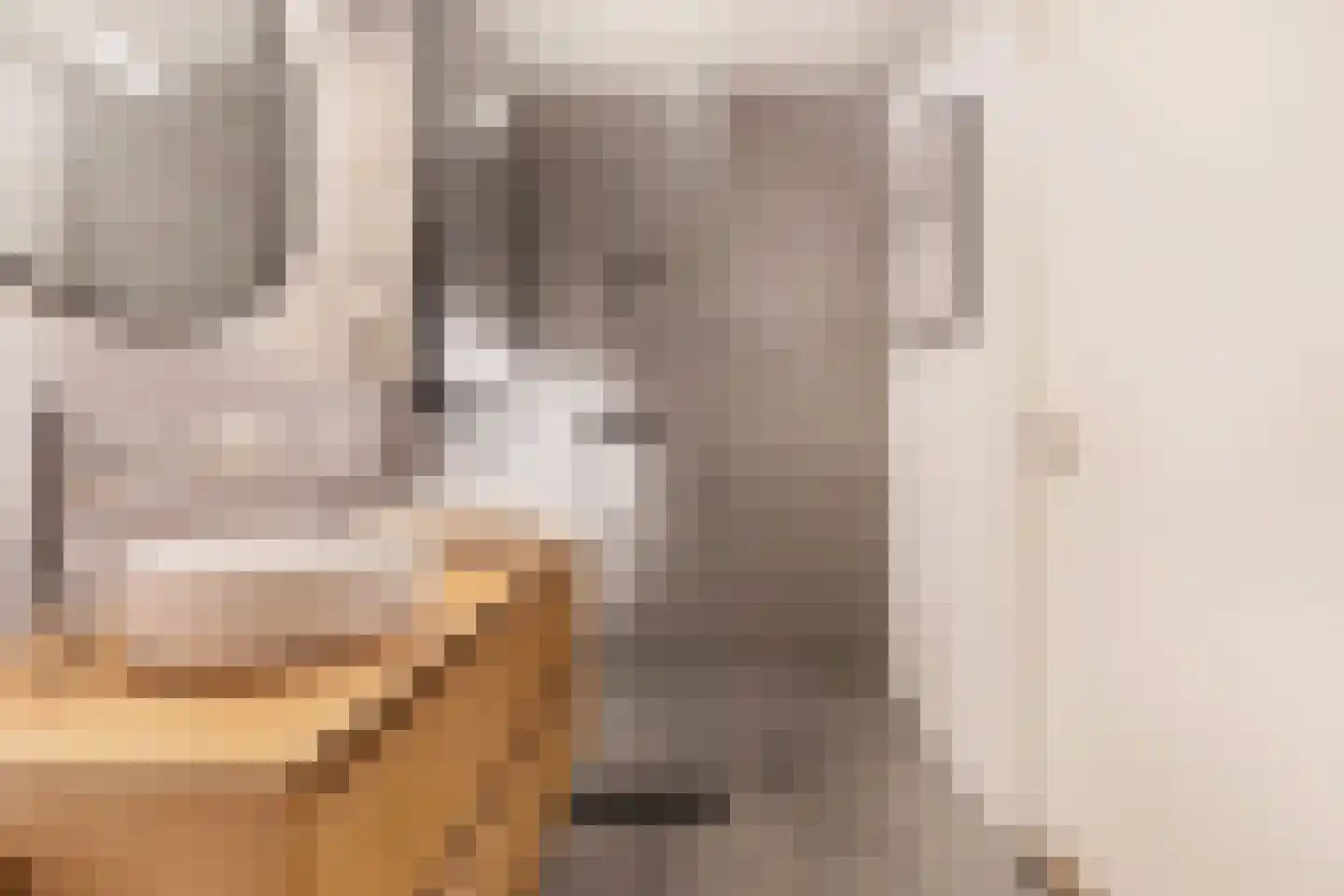 Posteleinpad 19 Dorst thumbnail 47
