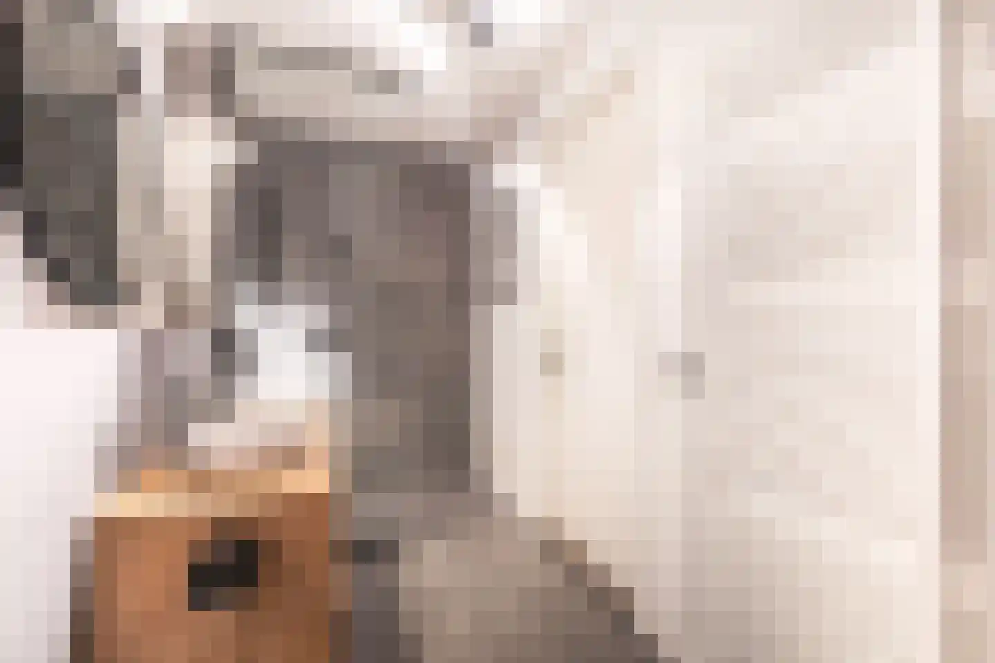 Posteleinpad 19 Dorst thumbnail 48
