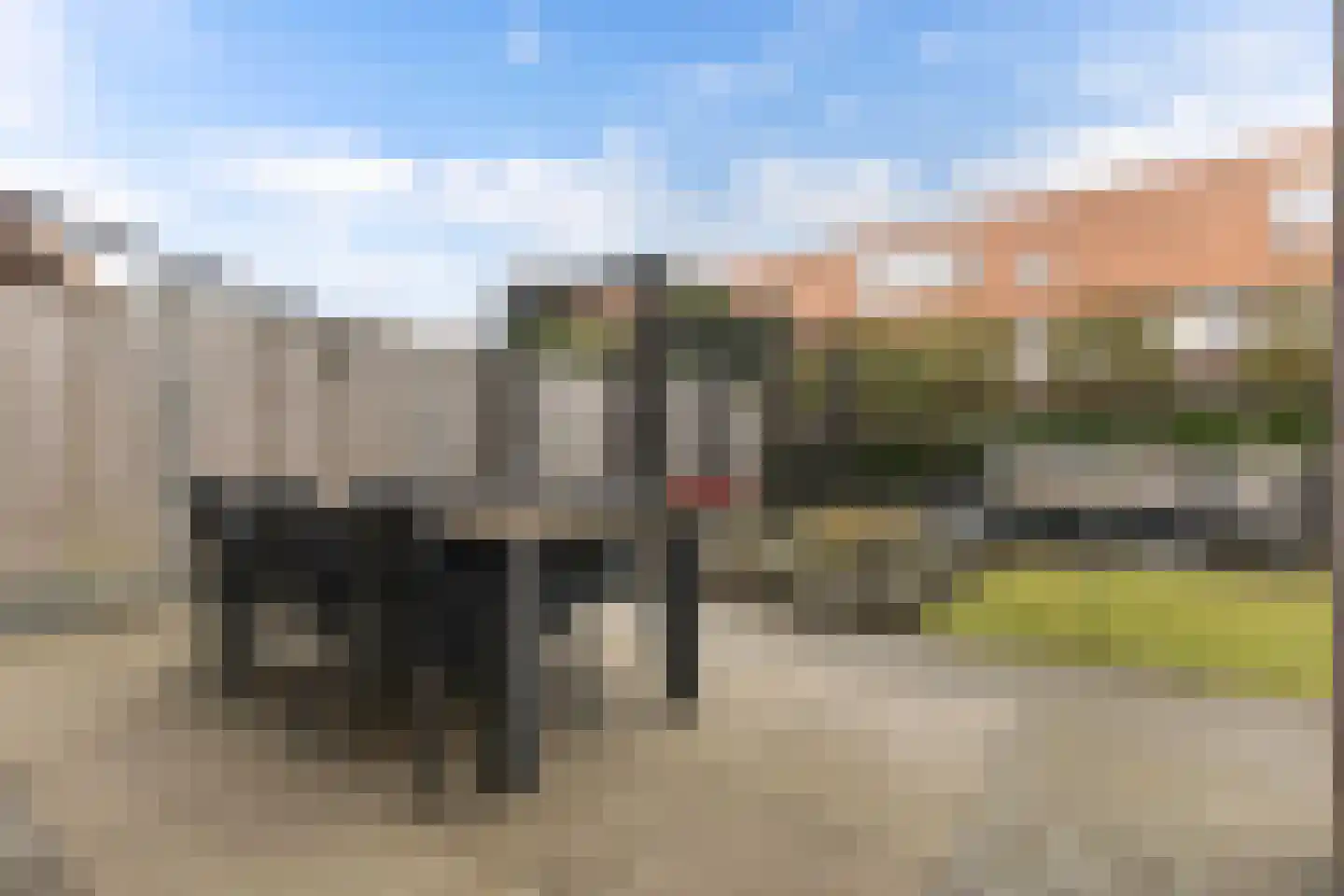 Posteleinpad 19 Dorst thumbnail 56