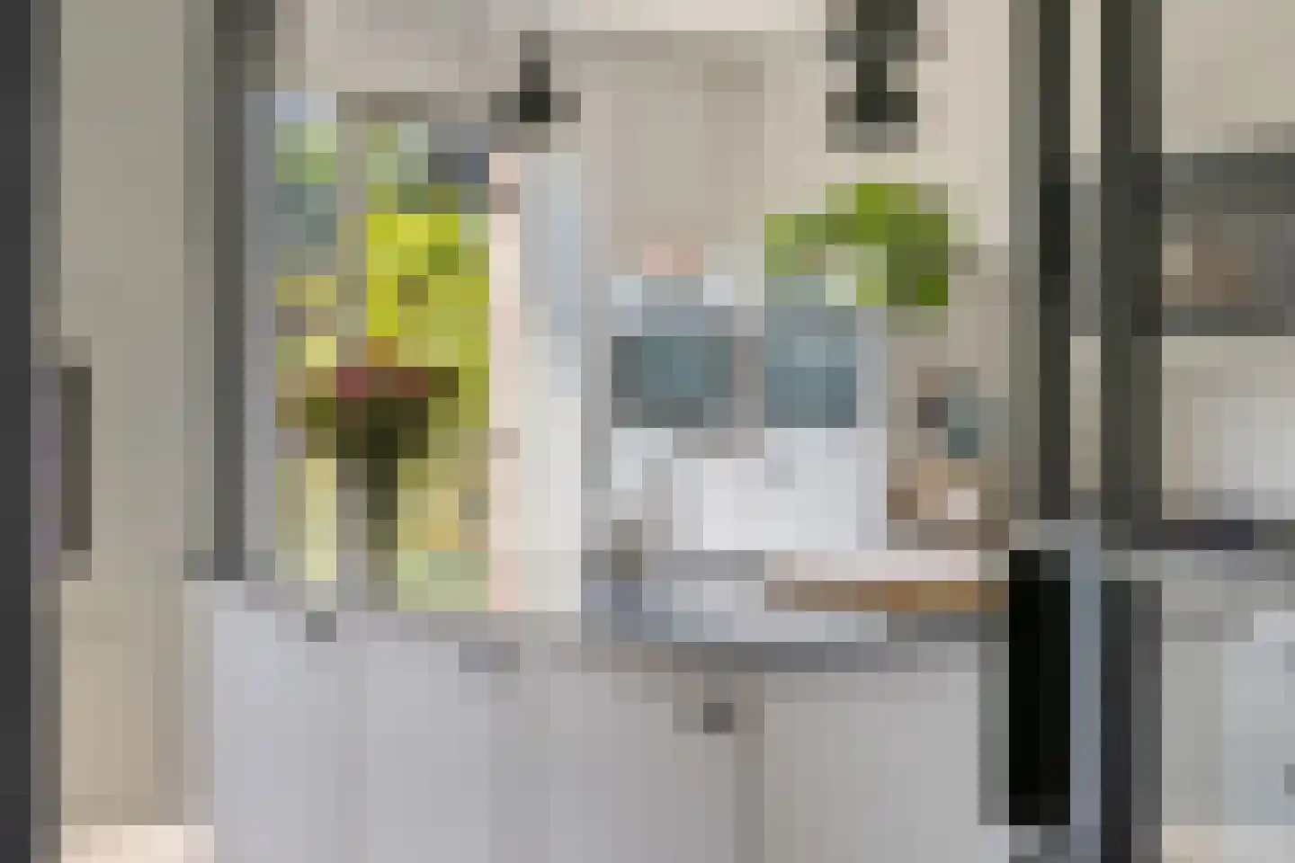 Posteleinpad 4 Dorst thumbnail 17