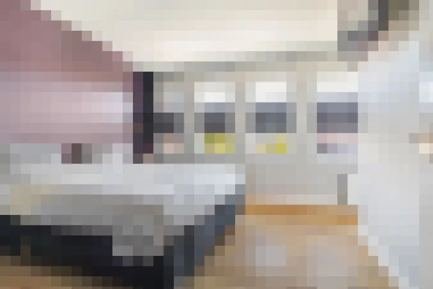 Posteleinpad 4 Dorst thumbnail 28