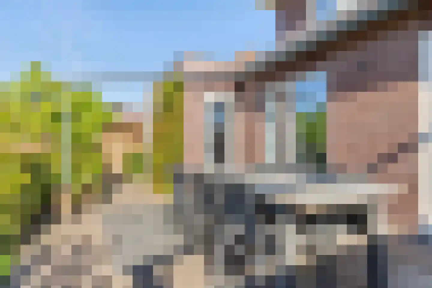 Posteleinpad 4 Dorst thumbnail 34
