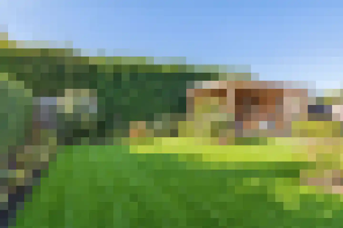 Posteleinpad 4 Dorst thumbnail 35