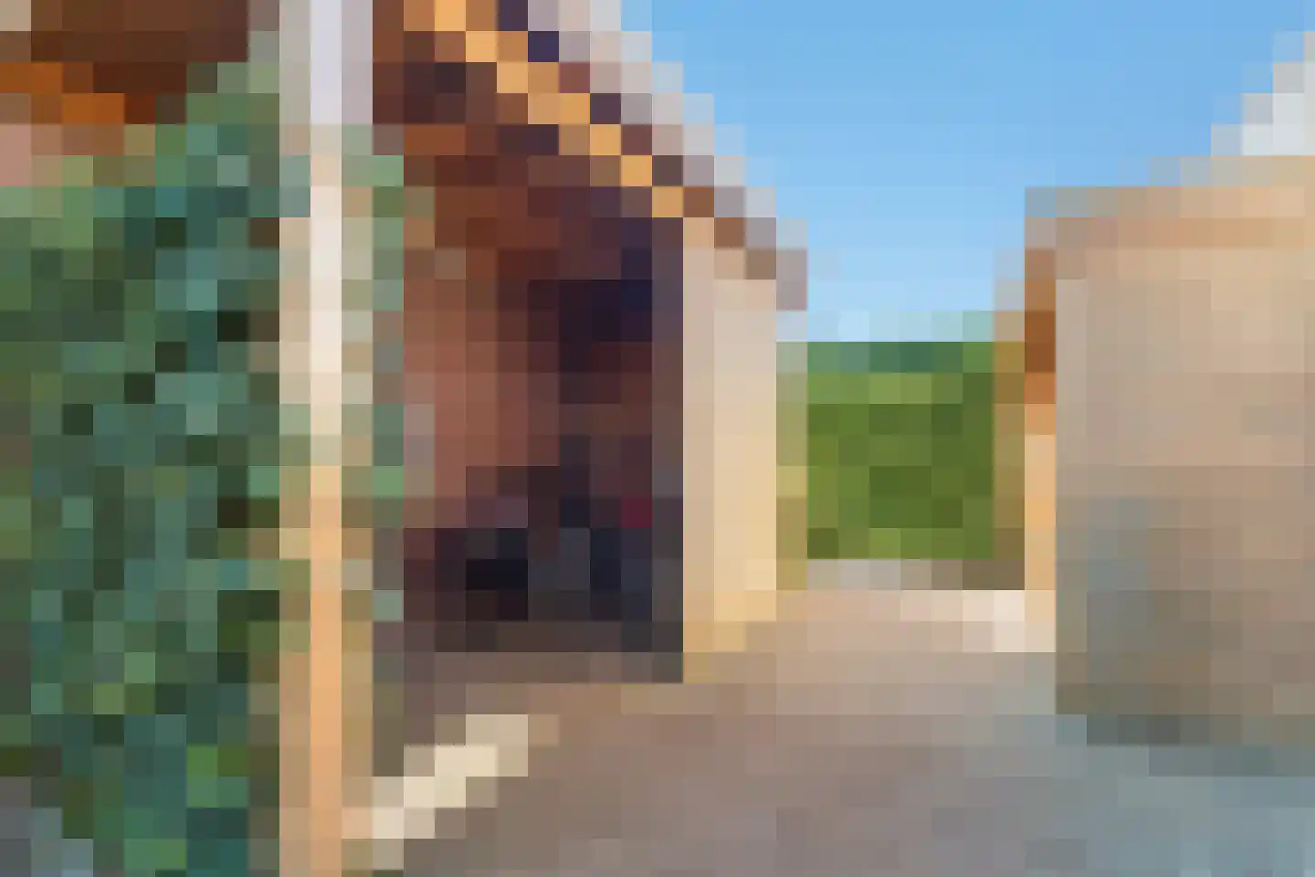 Posteleinpad 4 Dorst thumbnail 38