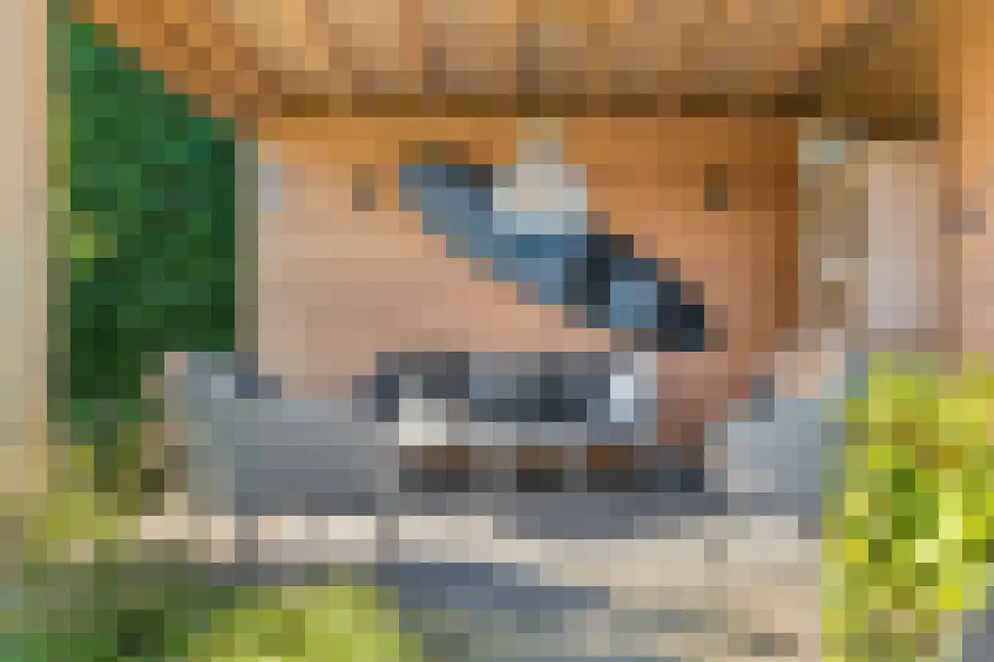 Posteleinpad 4 Dorst thumbnail 39