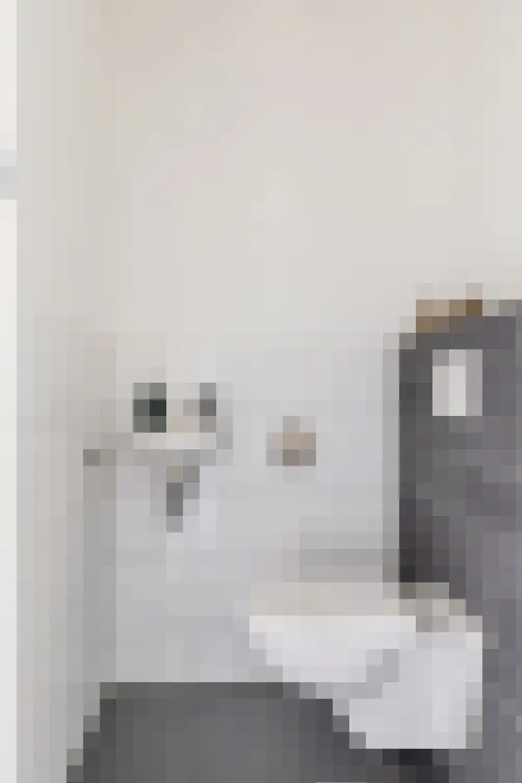 Posteleinpad 4 Dorst thumbnail 9