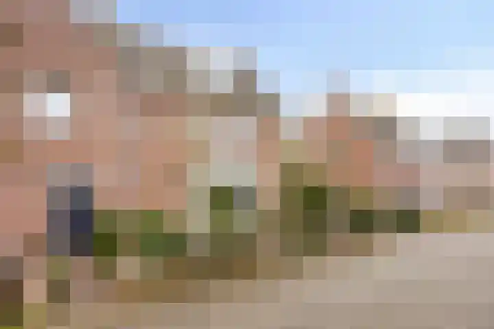 Posteleinserf 5 Helmond thumbnail 11