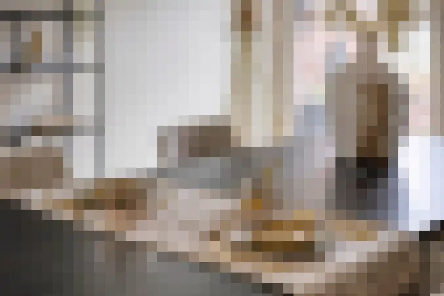 Posteleinserf 5 Helmond thumbnail 17