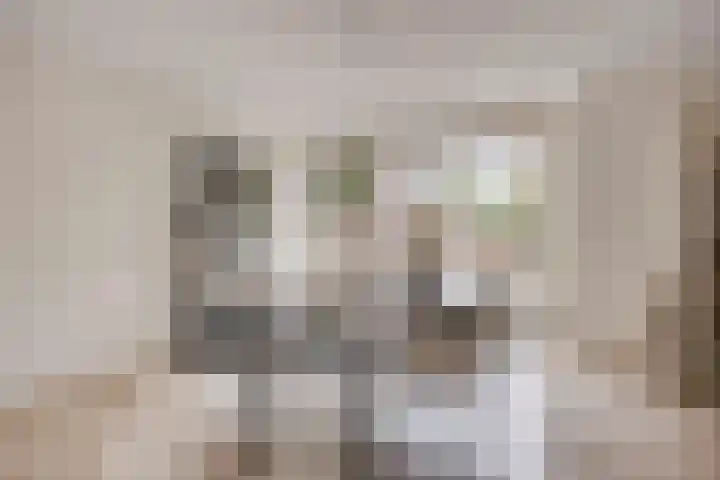 Posteleinserf 5 Helmond thumbnail 20