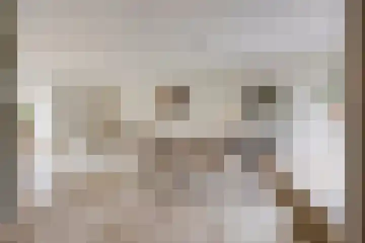 Posteleinserf 5 Helmond thumbnail 21
