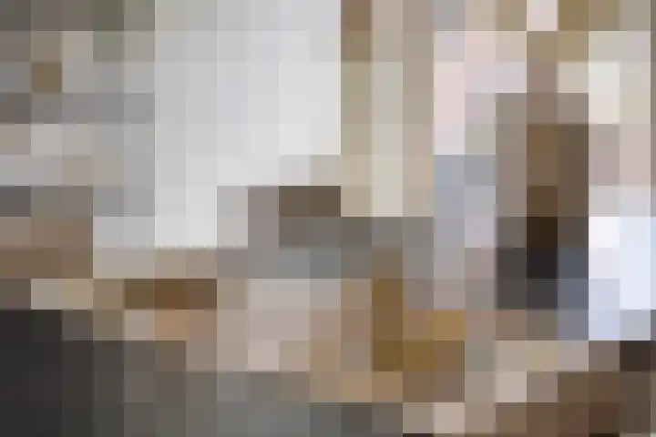 Posteleinserf 5 Helmond thumbnail 22