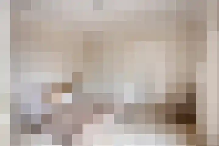 Posteleinserf 5 Helmond thumbnail 26
