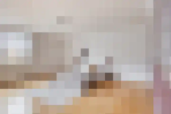 Posteleinserf 5 Helmond thumbnail 31