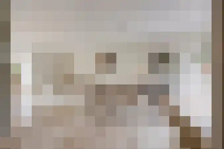 Posteleinserf 5 Helmond thumbnail 4