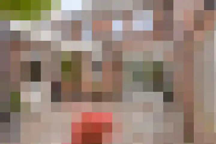 Posteleinserf 5 Helmond thumbnail 41