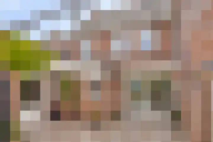 Posteleinserf 5 Helmond thumbnail 42