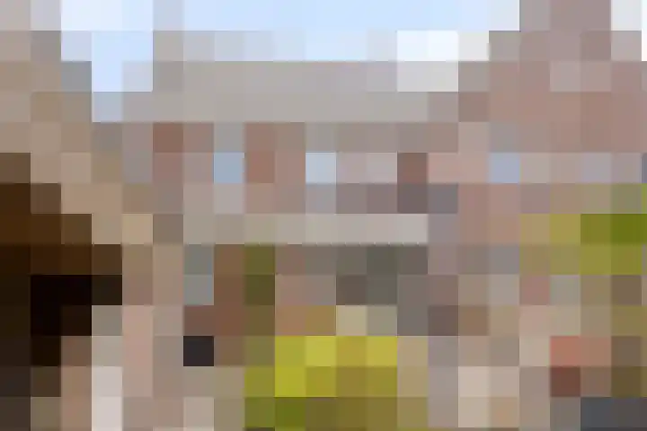 Posteleinserf 5 Helmond thumbnail 43