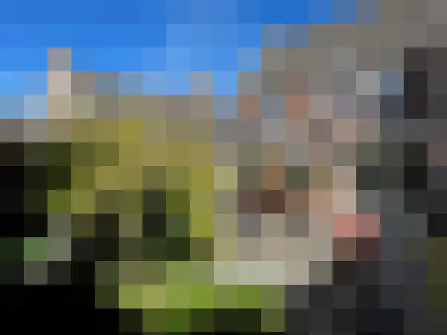 Posteleinserf 5 Helmond thumbnail 6