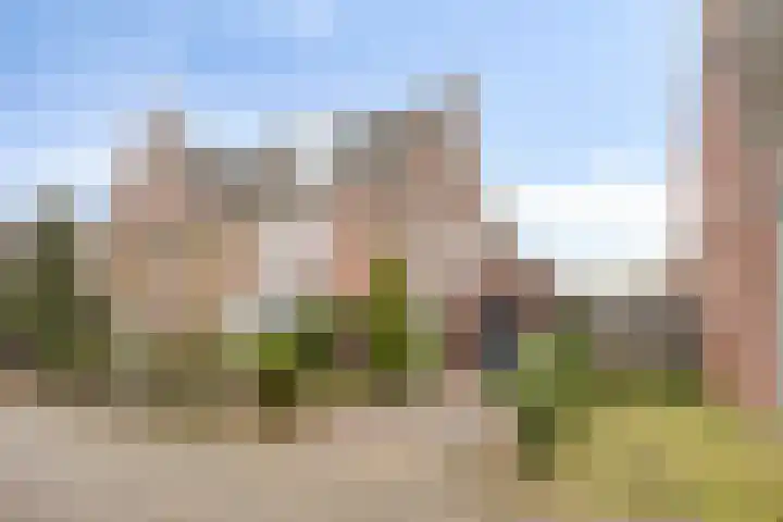 Posteleinserf 5 Helmond thumbnail 9