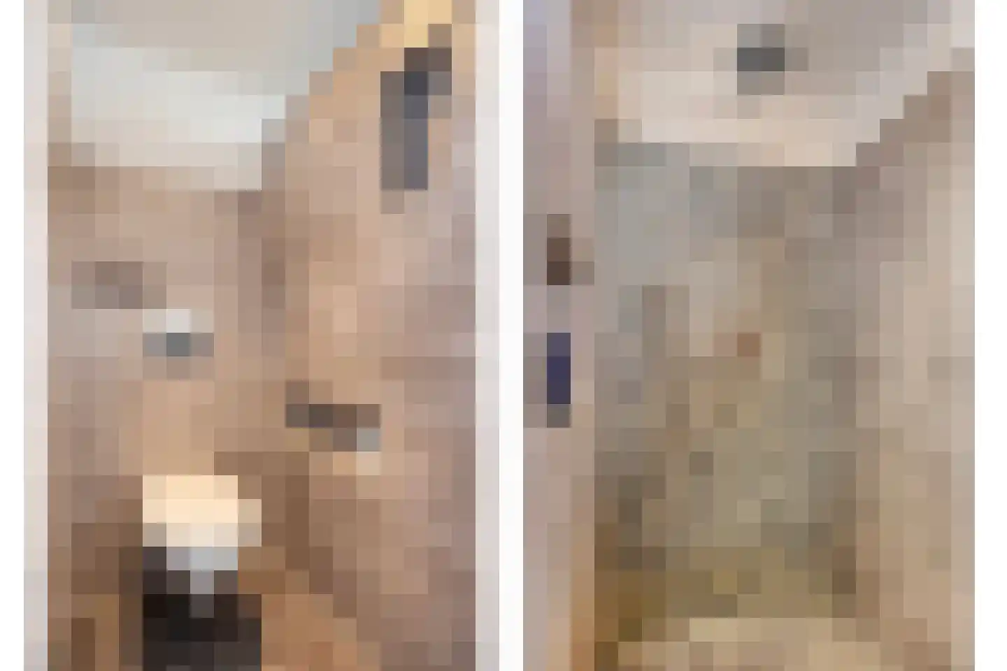 Postelkamp 23 Druten thumbnail 24