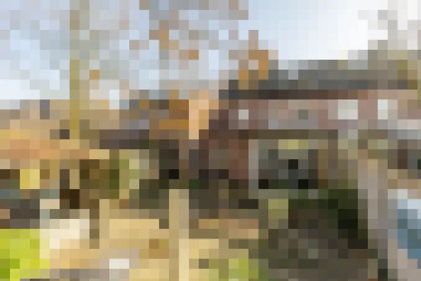 Postelplein 4 Oost West en Middelbeers thumbnail 37