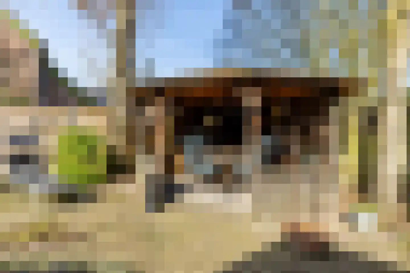 Postelplein 4 Oost West en Middelbeers thumbnail 42