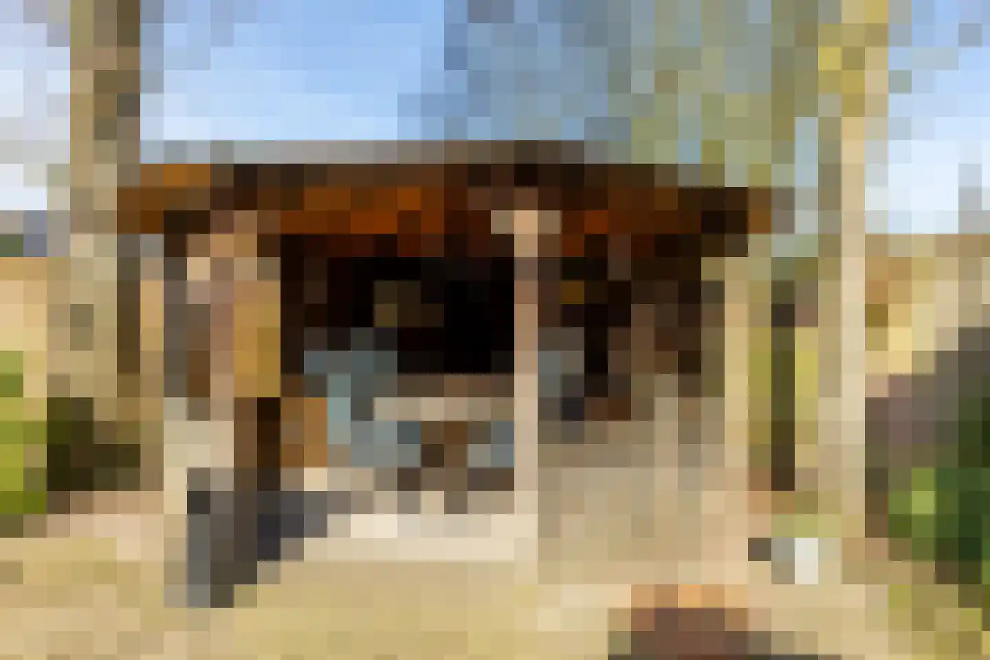 Postelplein 4 Oost West en Middelbeers thumbnail 43