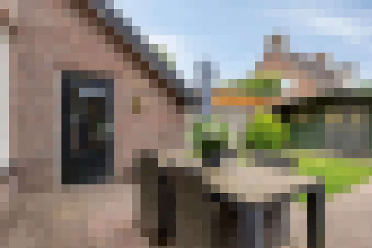 Postelplein 8 Oost West en Middelbeers thumbnail 36