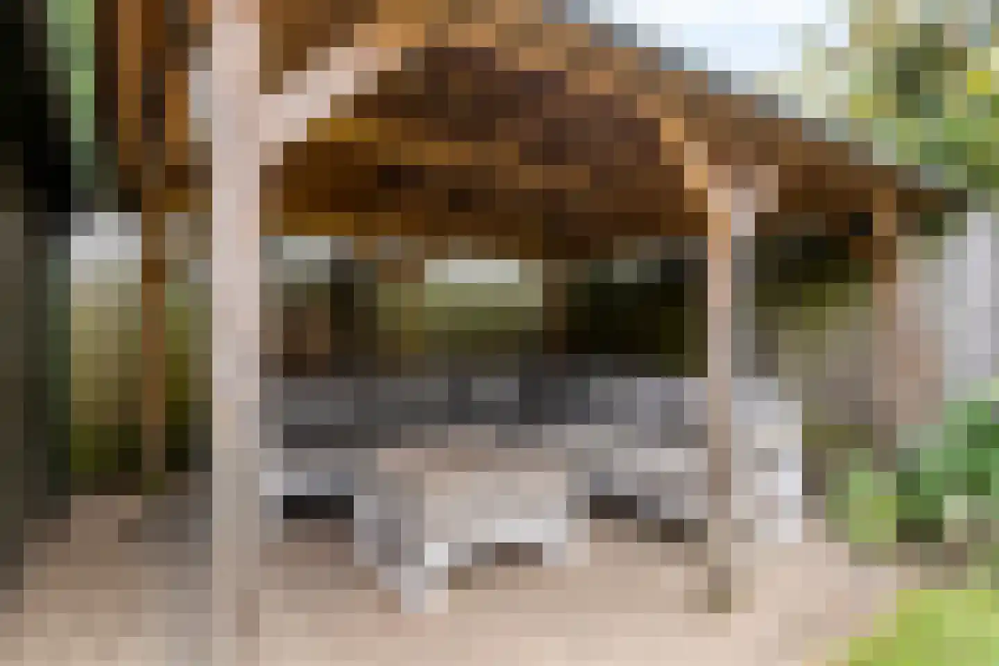 Postelplein 8 Oost West en Middelbeers thumbnail 38